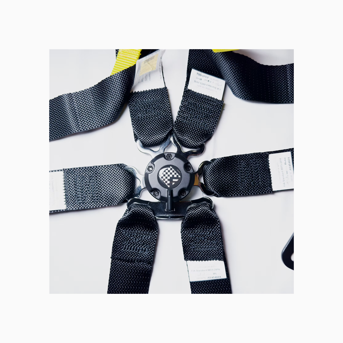 FUSINA | Corsa Pull Down 6 Point Harness-Harness Accessory-Speed SRL-gpx-store