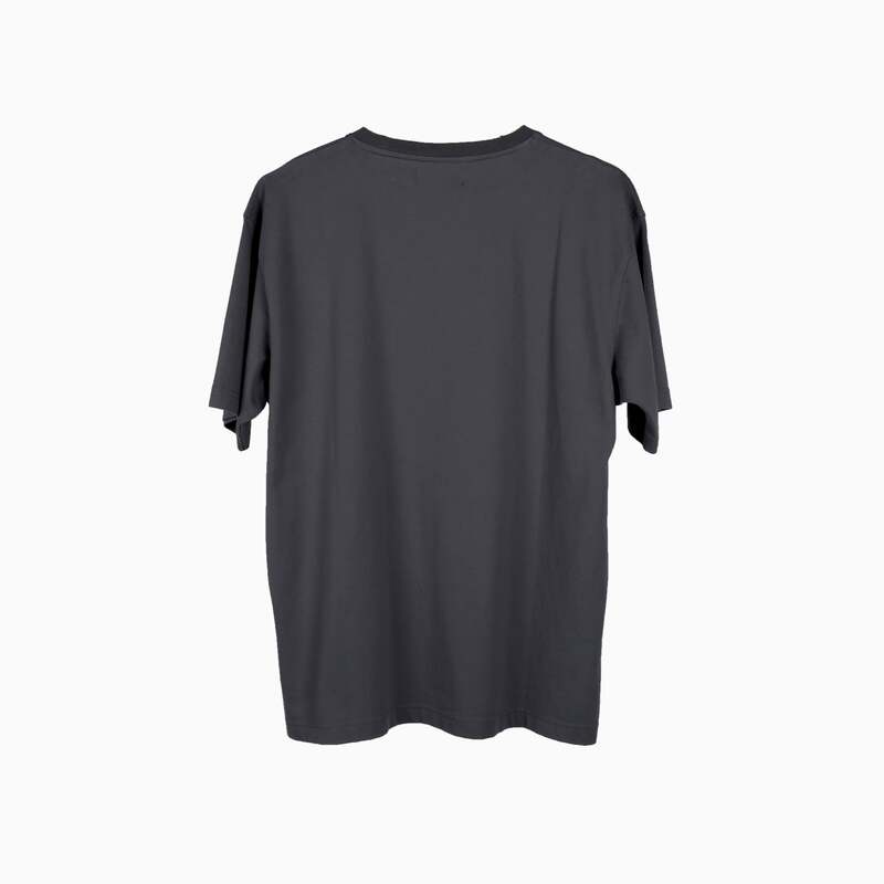 Anyways | Testarossa Gray T-Shirt-T-Shirt-Anyways-gpx-store