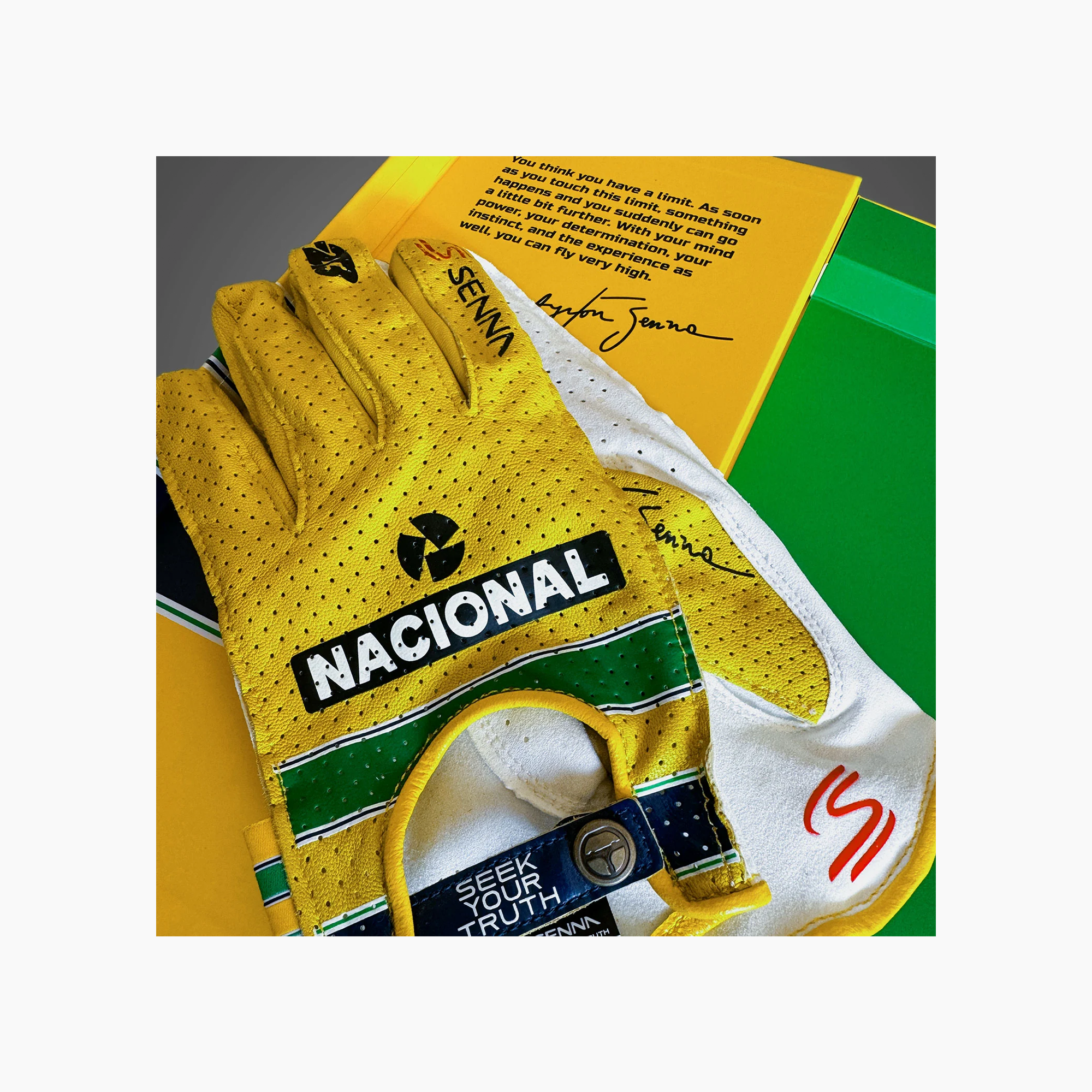 Minus 273 x Ayrton Senna Driving Gloves-Racing Gloves-Minus 273-gpx-store