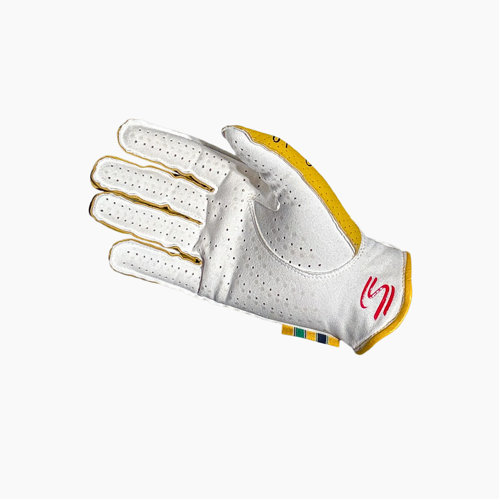 Minus 273 x Ayrton Senna Driving Gloves-Racing Gloves-Minus 273-gpx-store