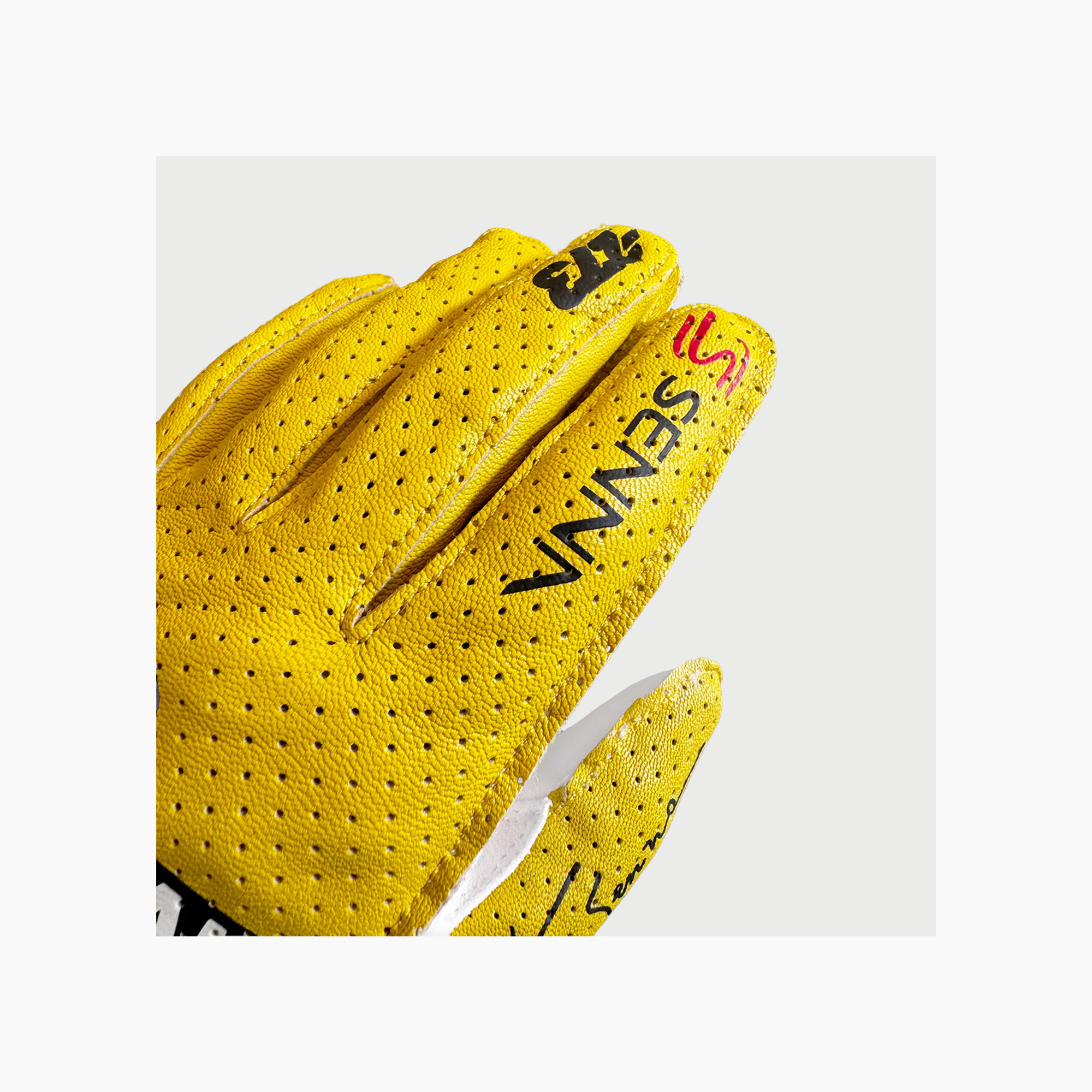 Minus 273 x Ayrton Senna Driving Gloves-Racing Gloves-Minus 273-gpx-store